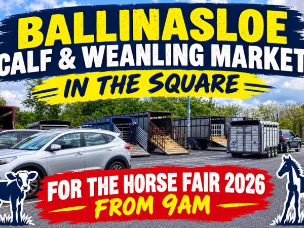Ballinasloe Calf & Weanling Market - Main image