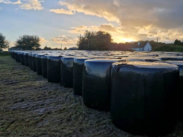 Round bales of Silage - Main image