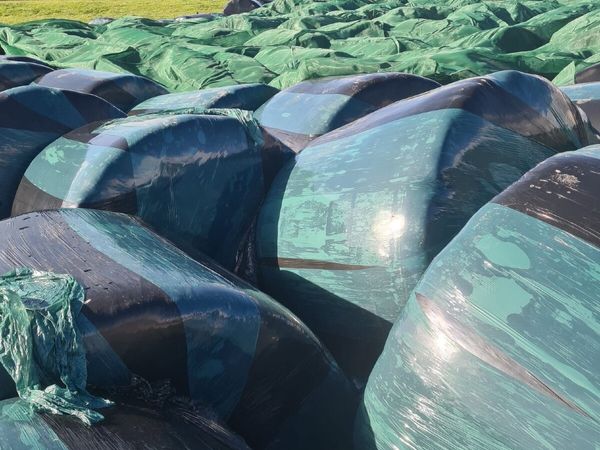 Round bales - Main image