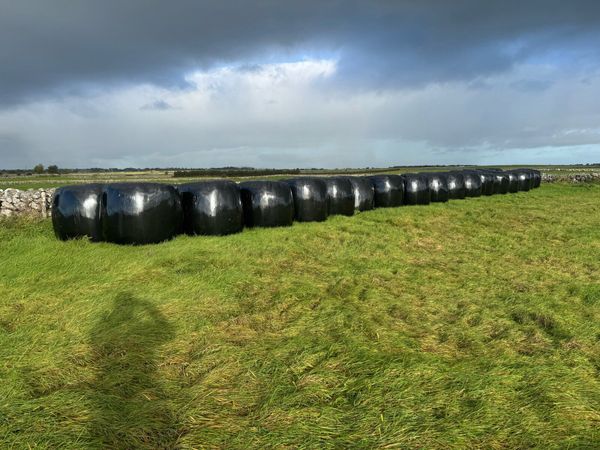 Round Bales Silage - Main image