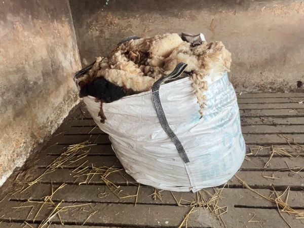 Wool for Sale - Organic Sheep & Alpaca Wool - Main image