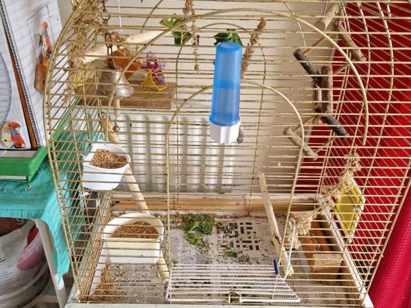 2 budgies.cage  food .stand - Main image