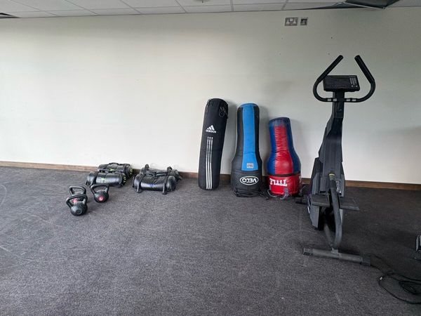 Boxing  Bags.  Carry Weights - Main image