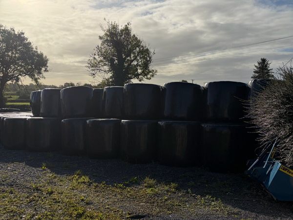Silage & Hay - Main image