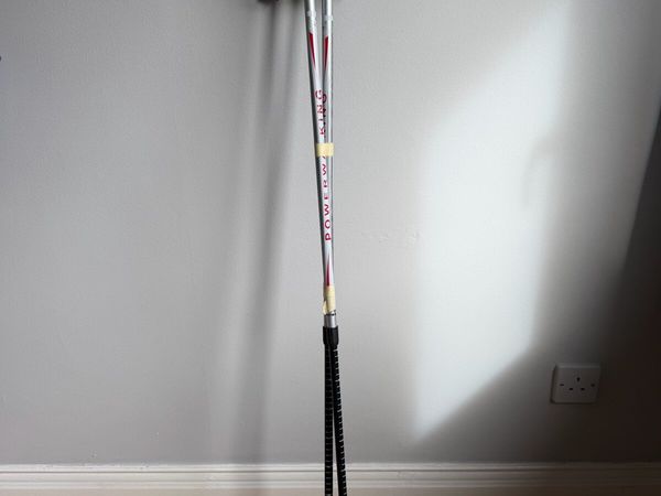 Walking Sticks - Main image