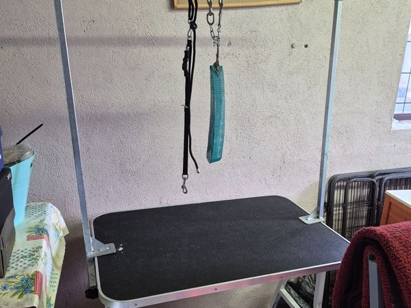 Dog grooming table - Main image