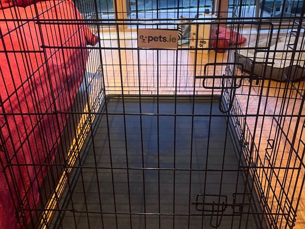 XL Dog Crate - Main image
