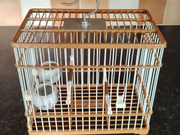 Canaries and Equipment for sale - Main image