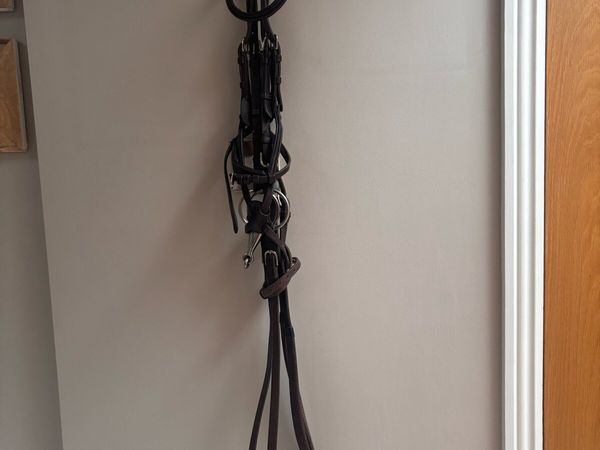 Horse bridle - Main image