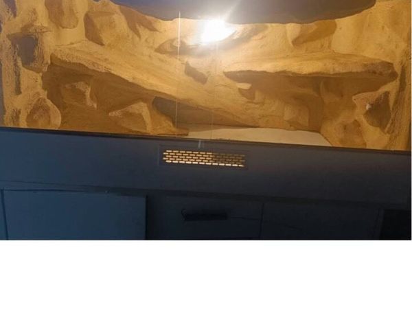 Bearded Dragon Tank - Main image