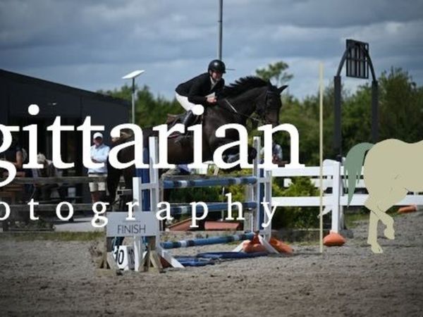 Quality Showjumper - Main image