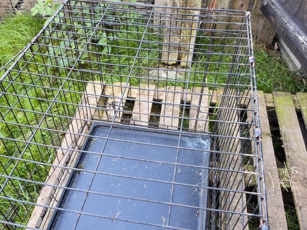 Dog cages - Main image