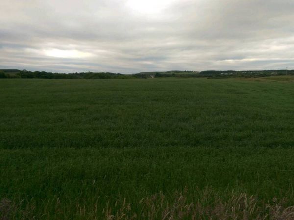 Silage Bales - Main image