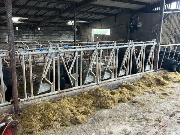 Condon Locking barriers - Main image