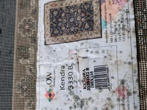 carpet - Main image