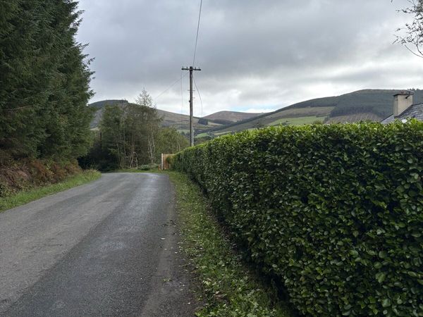 Hedge cutting services and general tidying - Main image