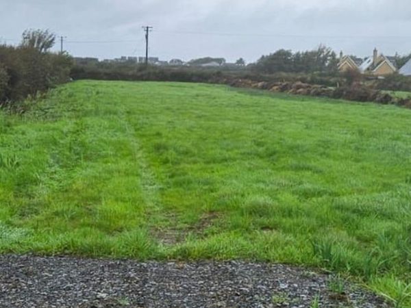 Field - Main image
