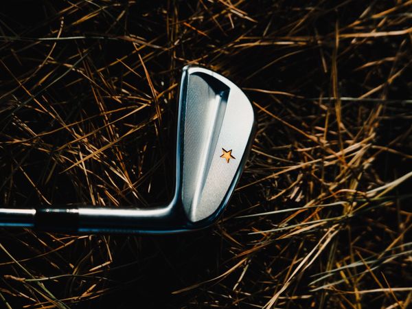 Vega SS model irons (Japanese irons) - Main image