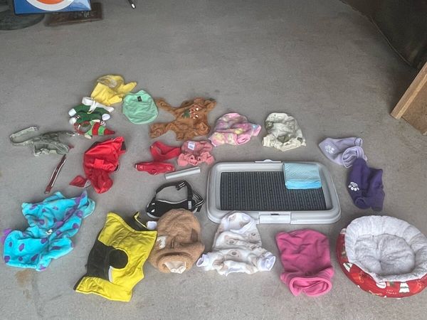 Dog accessories - Main image