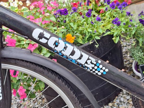 Adult Bike. 26 inch wheels. Great Condition. - Main image