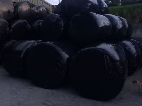 Silage Bales - Main image