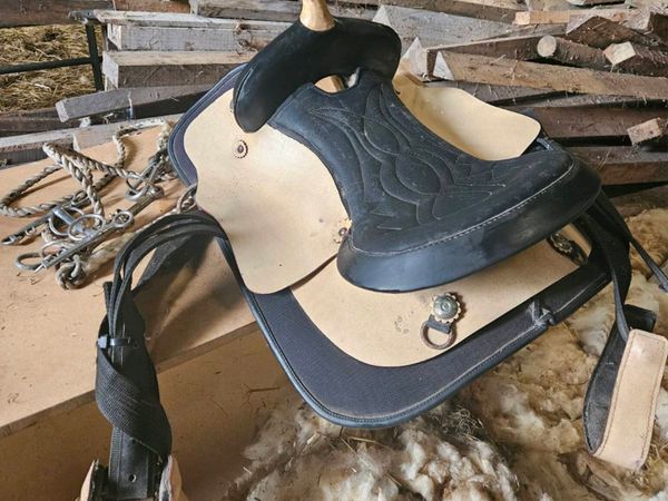 Saddles - Main image