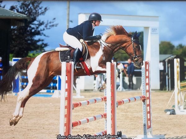⭐️ LOT 118 Goresbridge 20th Oct ⭐️ - Main image