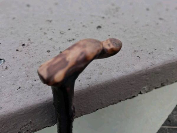 Blackthorn walking stick - Main image
