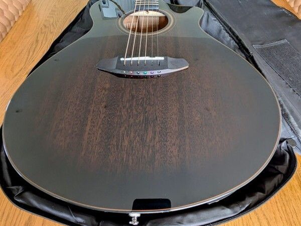 Breedlove Concert Pro guitar. - Main image