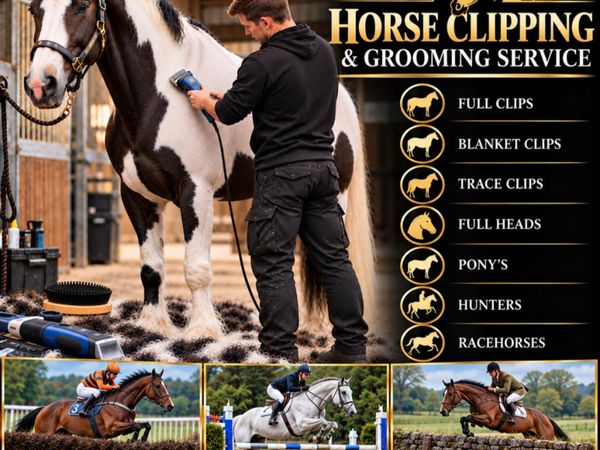 Horse Clipping & Grooming Service - Main image