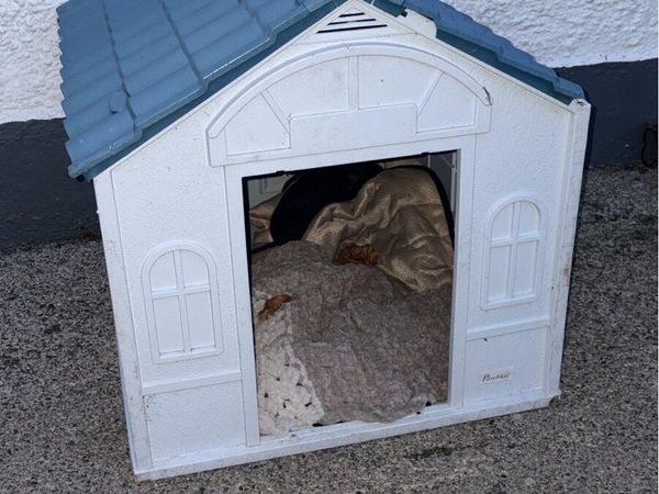 Dog shed - Main image