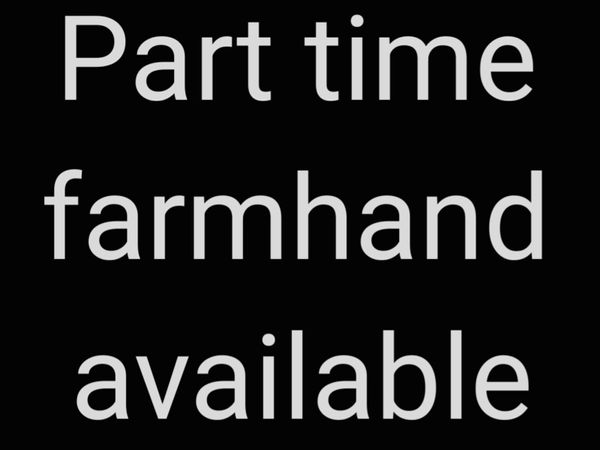 Part time farm hand available - Main image