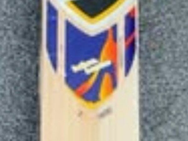 SG T-1600 Kashmir Willow cricket bat - Main image