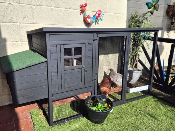 2 Chickens and coop - Main image