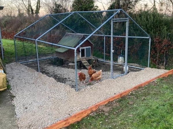 Chicken coop and enclosure - Main image
