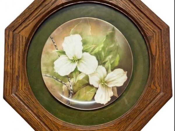 Stunning framed porcelain plate in Oak frame - Main image