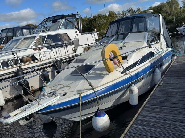 End of Season Project Cruisers for sale - Main image
