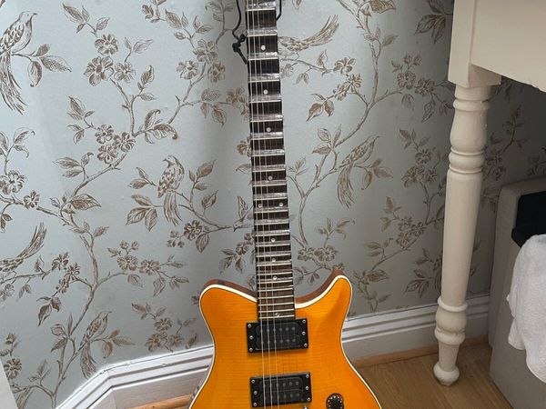 SX Guitar (Scalloped Neck) - Main image