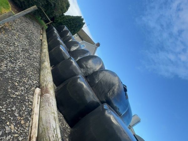 Silage Bales - Main image