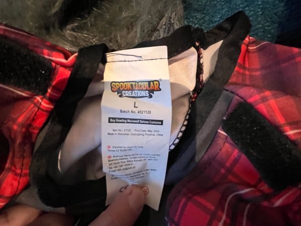 Halloween costumes - Main image