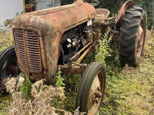 MASSEY FERGUSON 35X - Main image