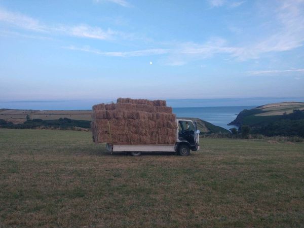 Certified Organic Square Jay Bales - Main image