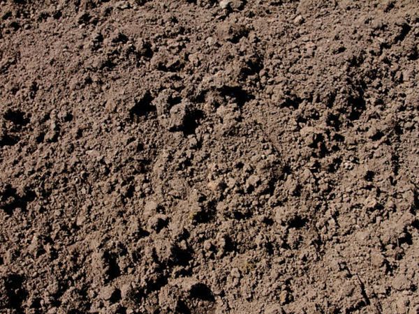 Top soil - Main image