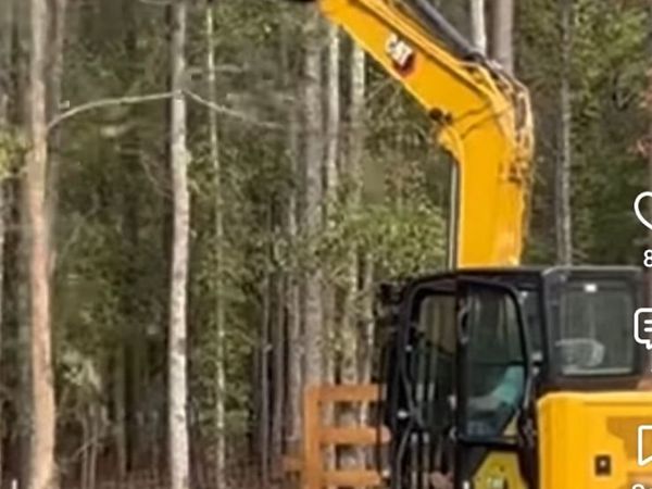 Tree/Scrub Clearing - Main image