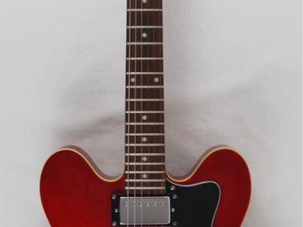 Epiphone dot 335 - Main image