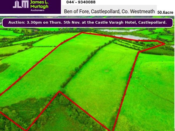 50.6 Acre Non-Residential  Farm ,   Castlepollard. - Main image