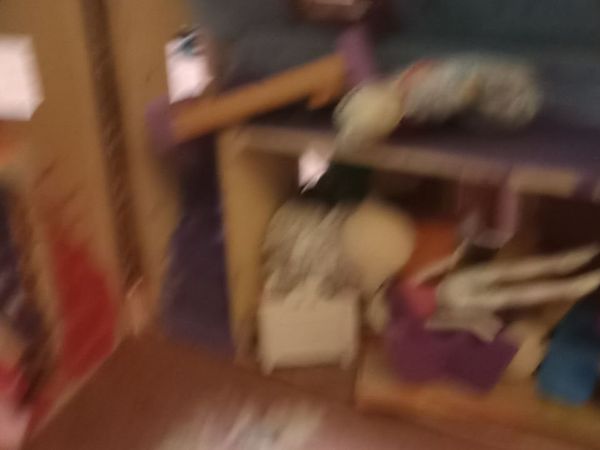 Dolls House - Main image