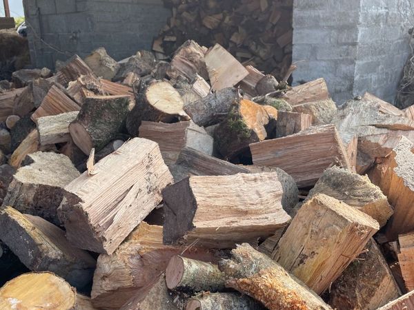 Firewood - Main image