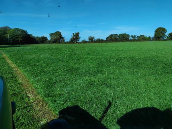 Silage - Main image