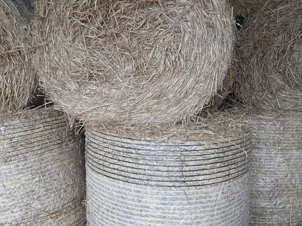 Round bales wheat straw for sale - Main image